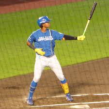 Image result for 水野X68仁義