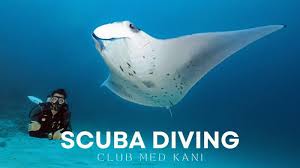 Image result for Manta Divers Sub-Aqua Club