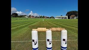 Image result for Chulmleigh & Mid Devon Cricket Club