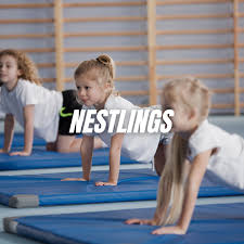 Image result for Vernon Park Gymnastics