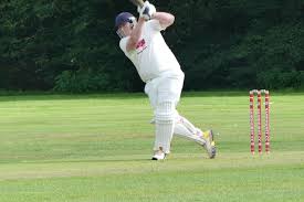 Image result for Waverley Cricket Club