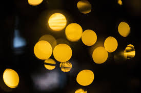 Image result for bokeh