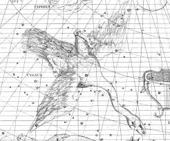 Attēlu rezultāti vaicājumam “Cygnus”