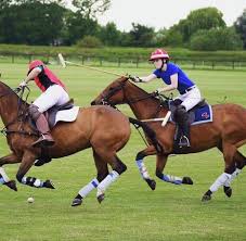 Image result for Cambridge University Riding Club