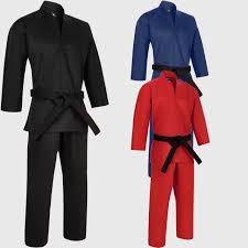 Image result for Bytomic Taekwondo