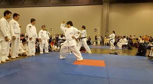 Image result for Association Of Sport Martial Arts