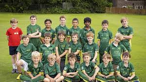 Image result for Horsley & Send Cricket Club