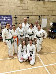 Image result for Seiki Juku Karate Club