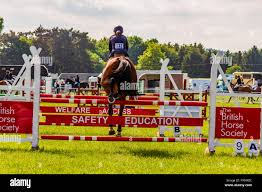 Image result for British Horse Society