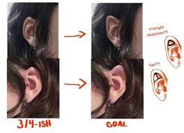 Image result for ear mod