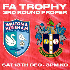 Image result for Walton & Hersham Football Club