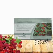 Attēlu rezultāti vaicājumam “Chenopodium foliosum”