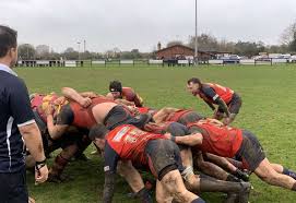 Image result for Ipswich Ym Rugby Union Football Club