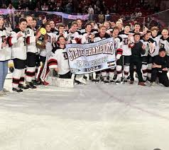 Image result for Demons Skater Hockey Club