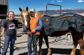 Image result for Elstead Riding Club