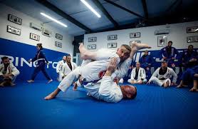 Image result for middlesbrough karate academy
