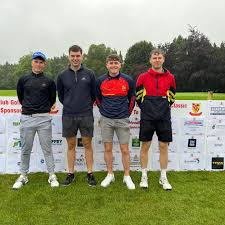 Image result for Moycarkey-Borris Gaa Club