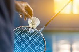 Image result for Shuttlecocks Badminton Club