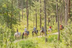 Image result for Palmers Riding Stables