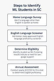 Image result for Deben Sc