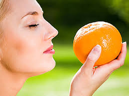 Image result for 公害SEARCH