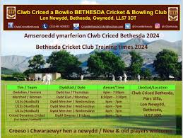 Image result for Clwb Criced A Bowlio Bethesda