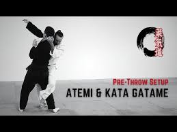 Image result for Goshin Ryu Atemi JuJitsu