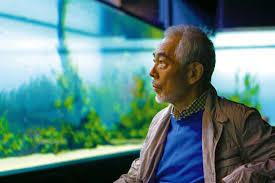 Znalezione obrazy dla zapytania takashi amano%