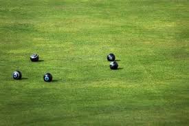 Image result for Llandrindod Wells Bowling Club