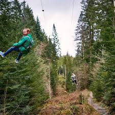 Image result for Go Ape! Grizedale