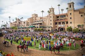 Image result for The Horse Racing Club