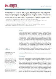 Attēlu rezultāti vaicājumam “Lycogala convexum sessile”