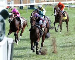 Image result for horse girl gun