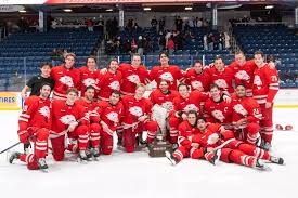 Image result for York University Street Hockey Club