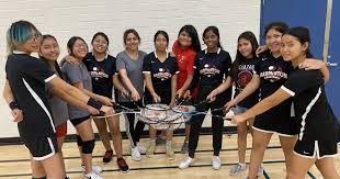 Image result for Phoenix (Trowbridge) Badminton Club