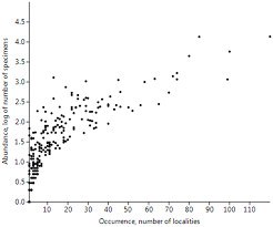Attēlu rezultāti vaicājumam “Bembidion litorale”