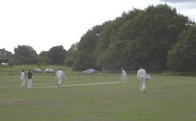 Image result for Henfield Cricket Club
