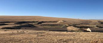 Image result for Homme Green Rifle Club