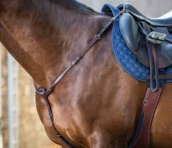 Image result for scheuklappen