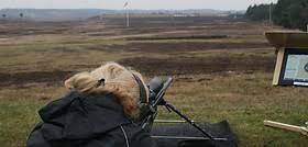 Image result for Tunbridge Wells Target Shooting Club
