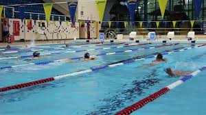 Image result for Crawley Swimming Club