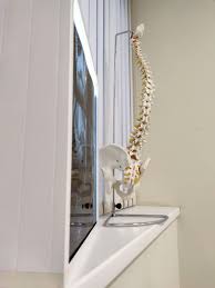 Картинки по запросу белку зажевало в диск