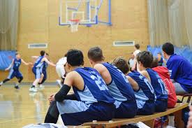 Image result for Kingston Wildcats Basketball Club