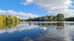 Image result for Emberton Park Sailing Club