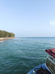 Image result for Erwadi