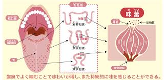 「烏頭みこと」の画像検索結果