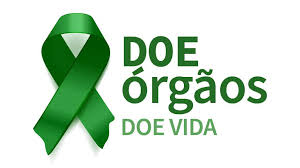 Image result for doação de órgãos