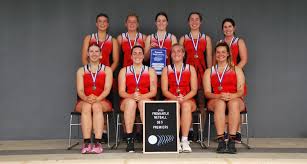 Image result for Flava Netball Club