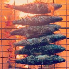 Image result for Chelon richardsonii