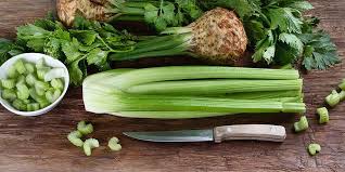 Image result for Sellerie